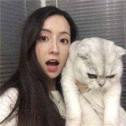 安博app下载最新版